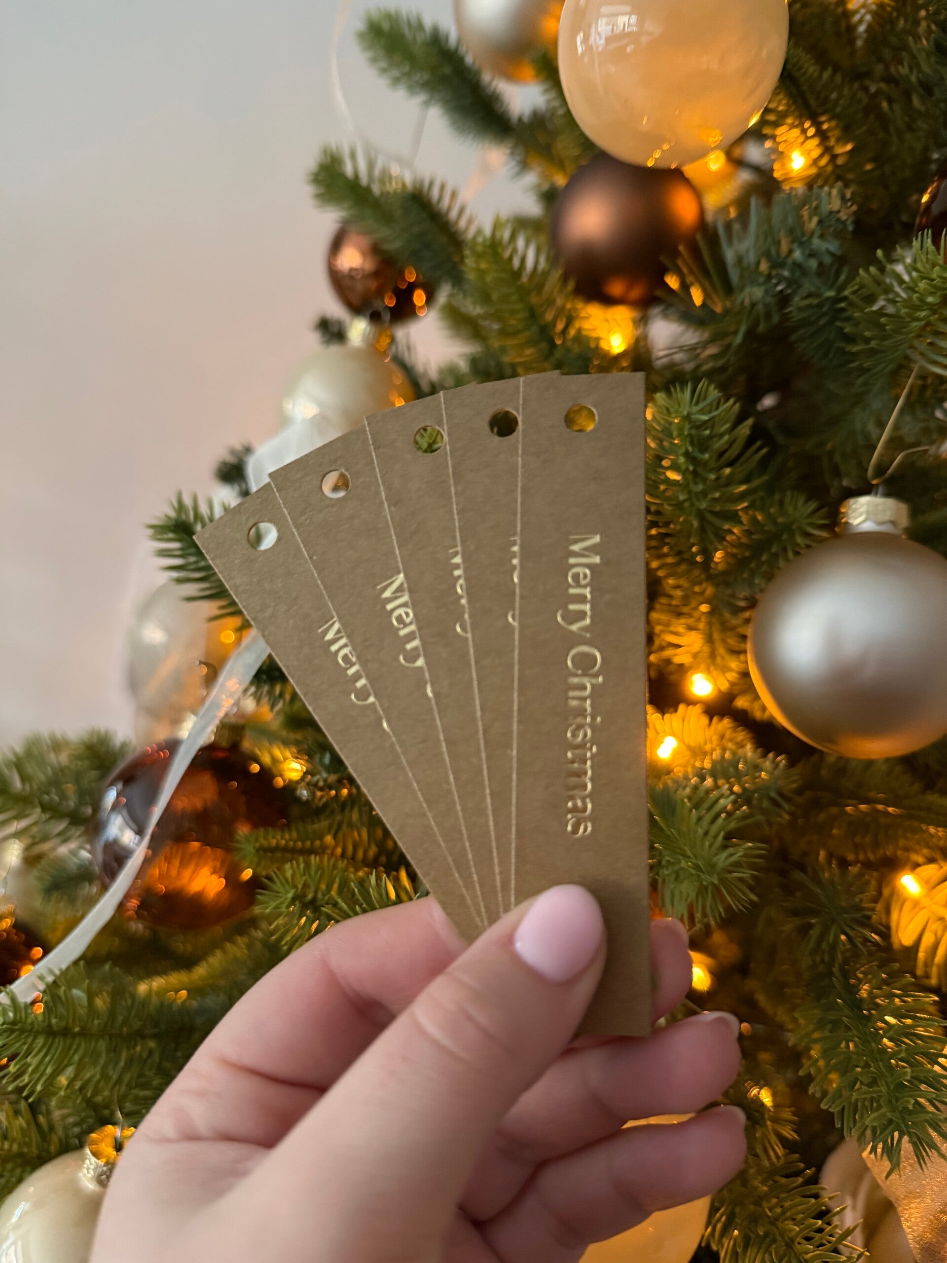 Cadeaulabel - Merry Christmas + goudfolie klein 5 stuks