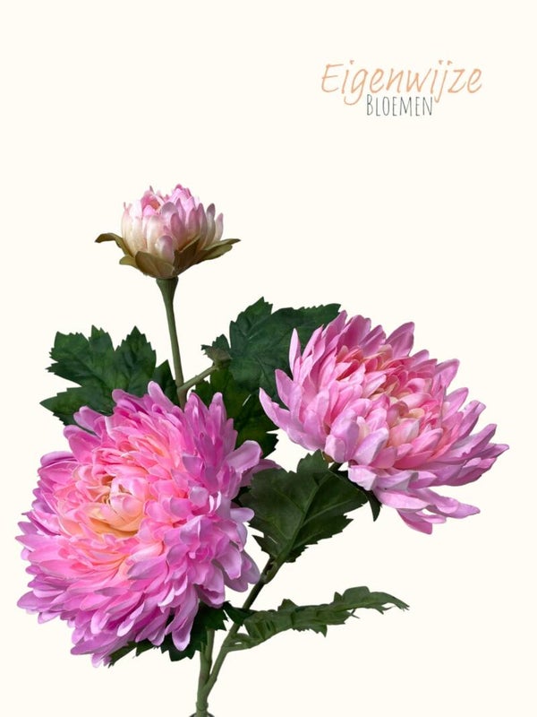 Grote Chrysant Roze