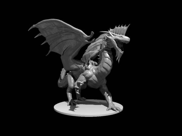 Dragons (Metallic Silver Adult 5e)