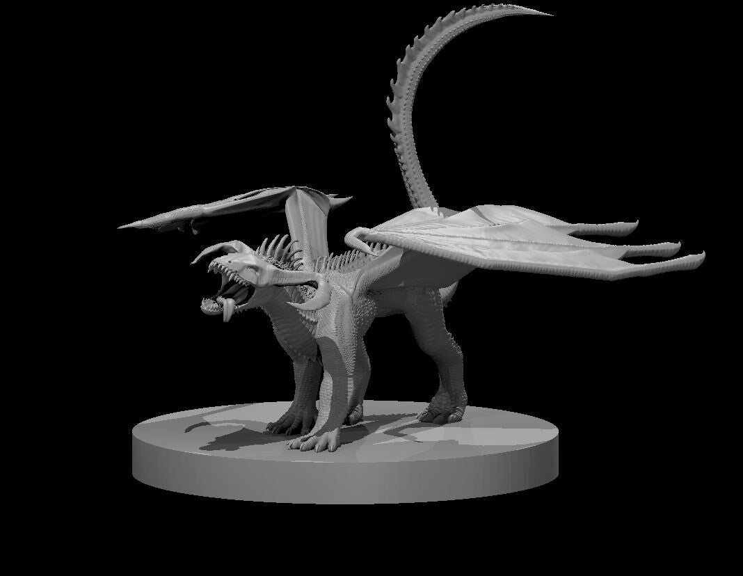 Dragons (Chromatic Black Wyrmling 2024)