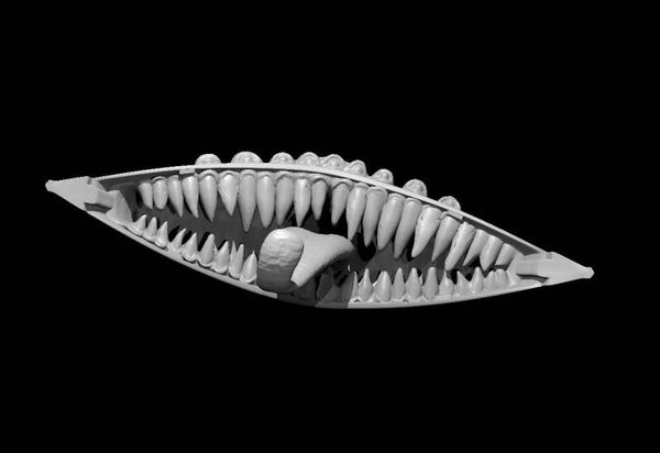 Mimics (Canoe Mimic)