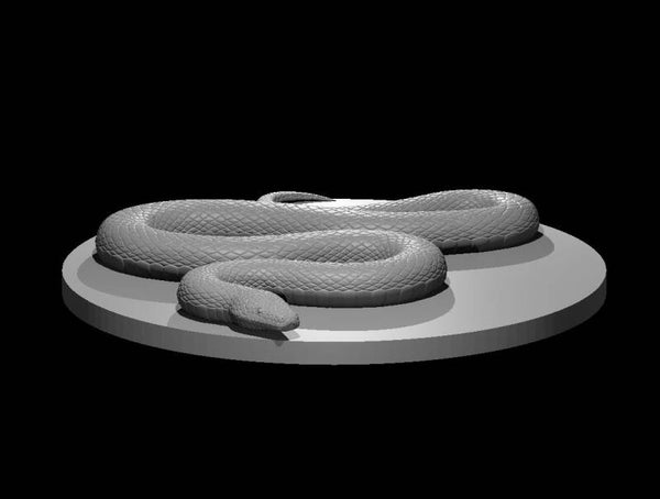 Constrictor Snake 5.5e