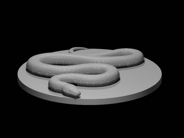 Constrictor Snake