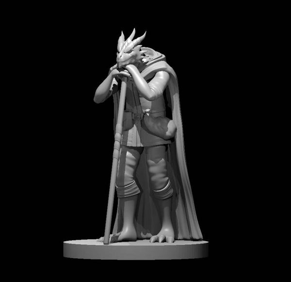 Dragonborn Druid leaning on staff
