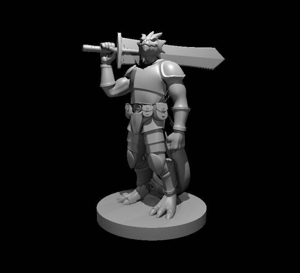 Dragonborn Male Fighter 4