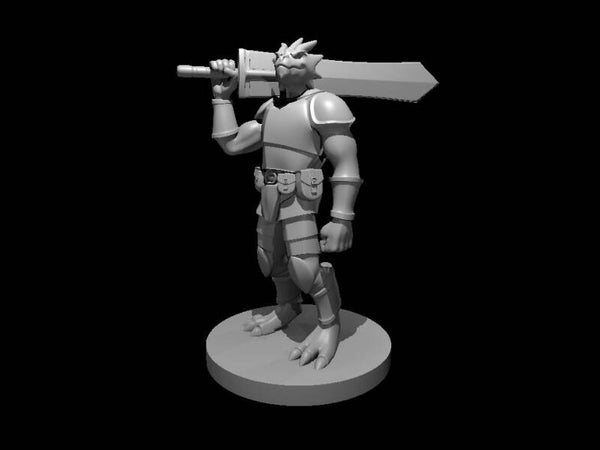 Dragonborn Male Fighter 5