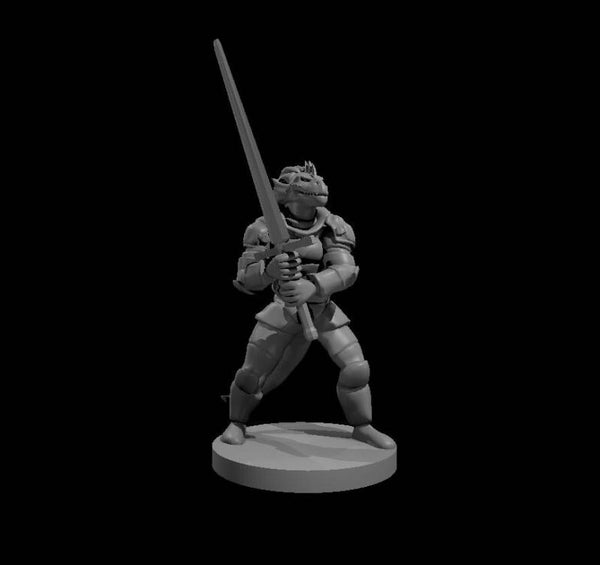 Dragonborn Male Fighter 2
