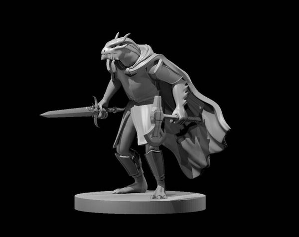 Dragonborn Male Fighter