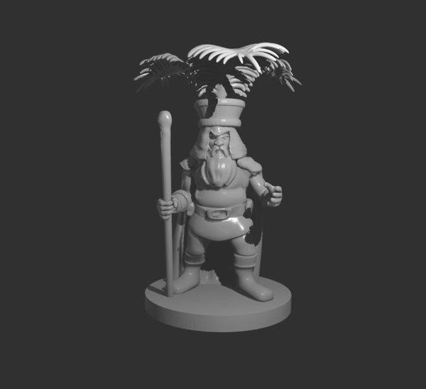 Dwarf Druid with fern hat