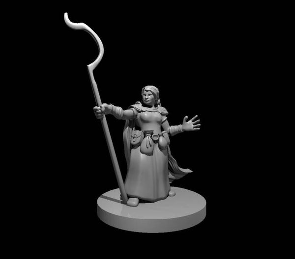 Dwarf Female Druid 2