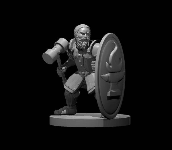 Dwarf Male Fighter with tower shield and hammer