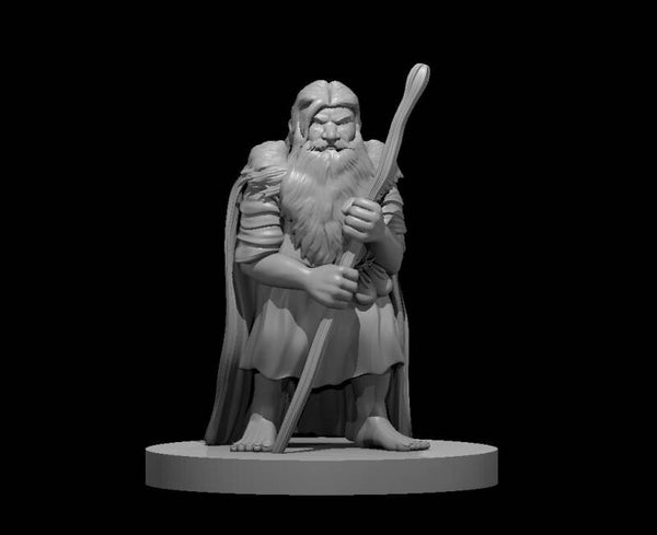 Dwarf Male Druid 3