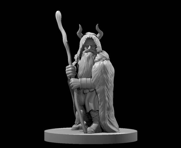Dwarf Male Druid 4