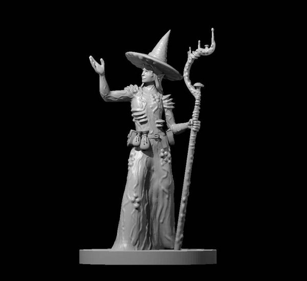 Elf Female Spore Circle Druid