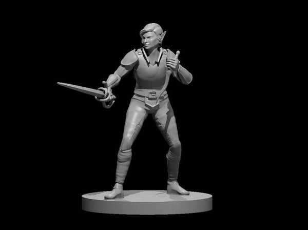Elf Female Swashbuckler Rogue