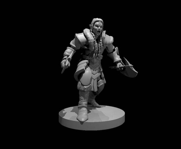 Elf Male Barbarian 2
