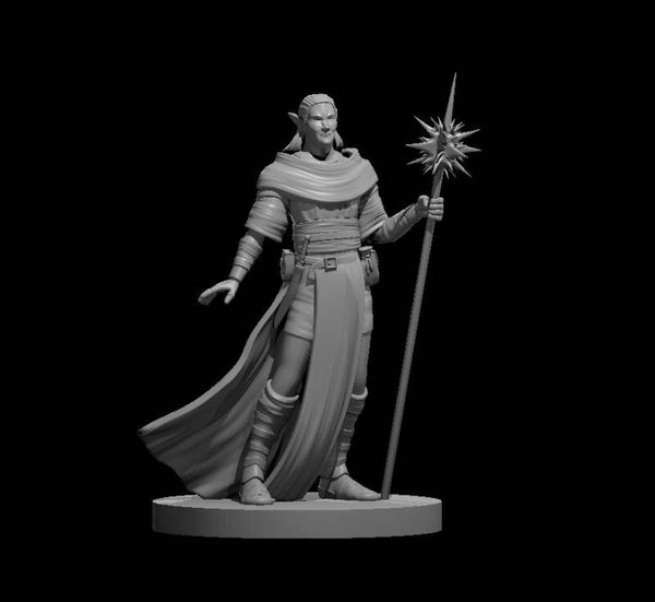 Elf Male Circle of the Stars Druid