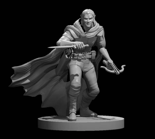 Elf Male Rogue 1