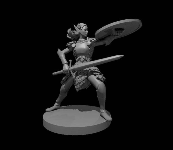Elf Female Fighter with shield