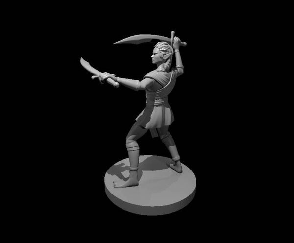Elf Female Fighter with scimitars