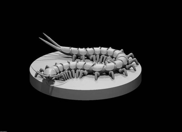 Giant Centipede 5.5e