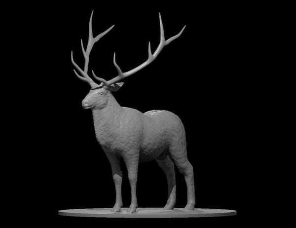 Elk