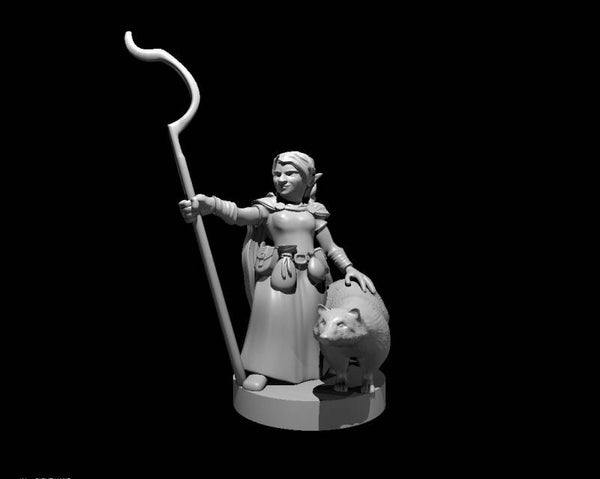 Gnome Female Druid with a badger