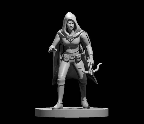 Half Elf Frmale Rogue 2