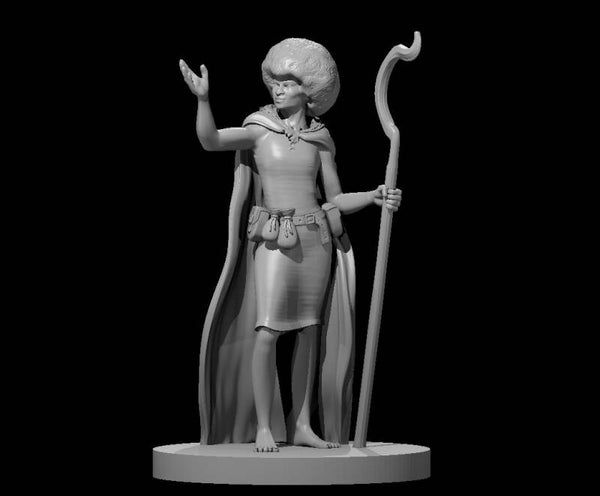 Human Female Druid with Afro