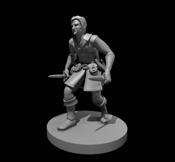 Human Male Rogue 2