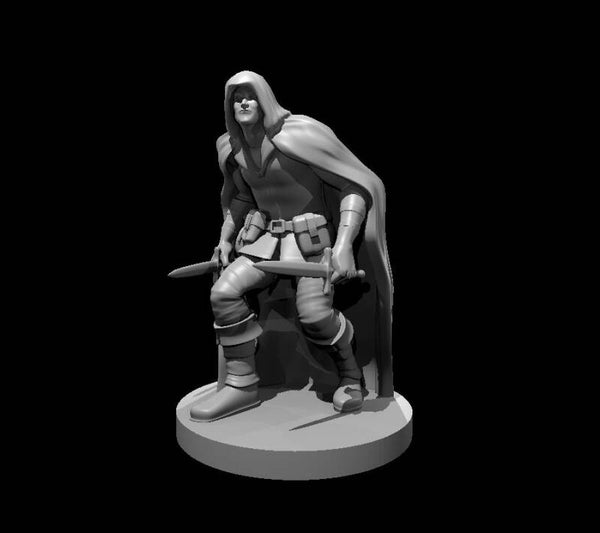 Human Male Rogue 5