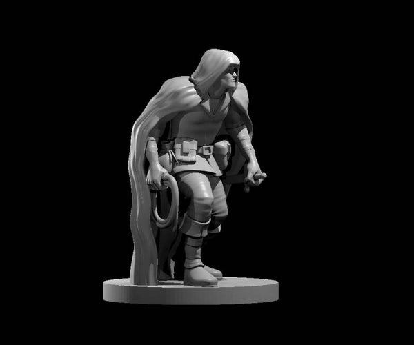 Human Male Rogue 5 Whip & Dagger