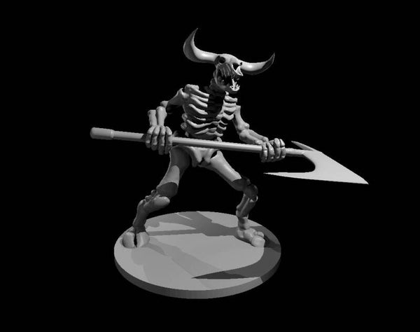 Skeleton (Minotaur)