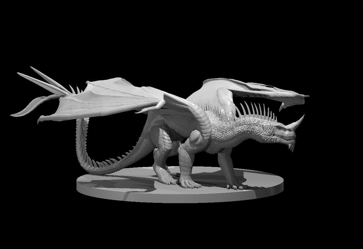 Dragons (Chromatic Blue Young 2024)