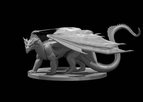 Dragons (Chromatic Red Young 2024)