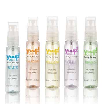 Yuup! Home Color Your Style With a Fragrance