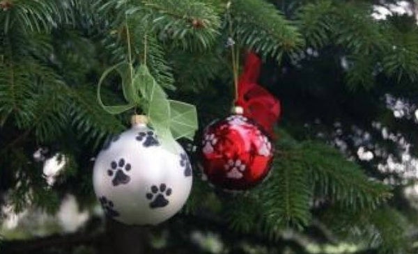Glazen kerstbal met hondenpootjes