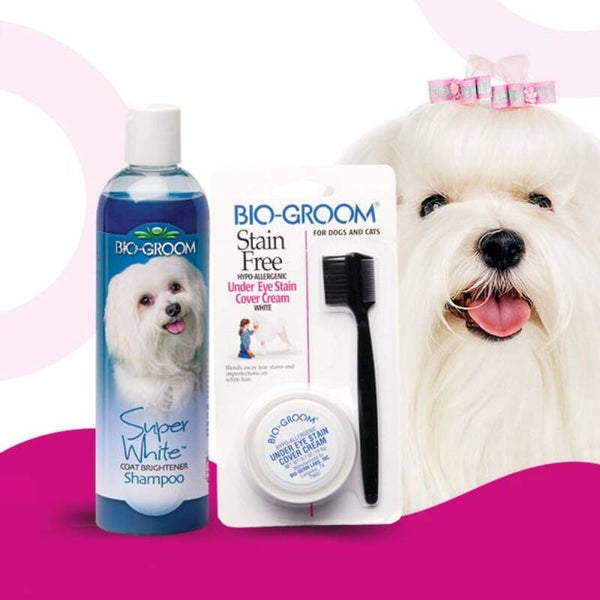 * Bio-Groom White Hair Care Set: Stain Free Cover Cream 20g + Super White Shampoo 355ml