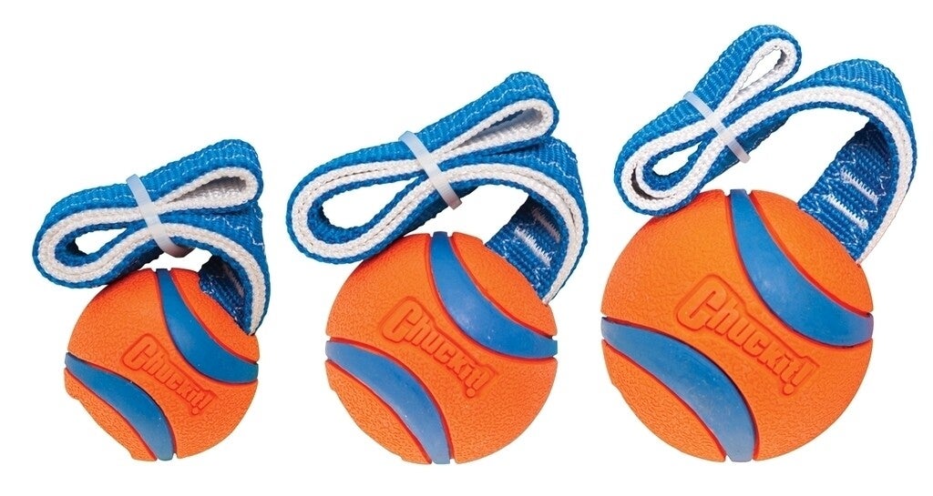 # Chuckit!® Ultra Tug
