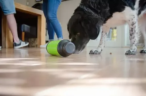 Eat Slow Live Longer Feed and Treat