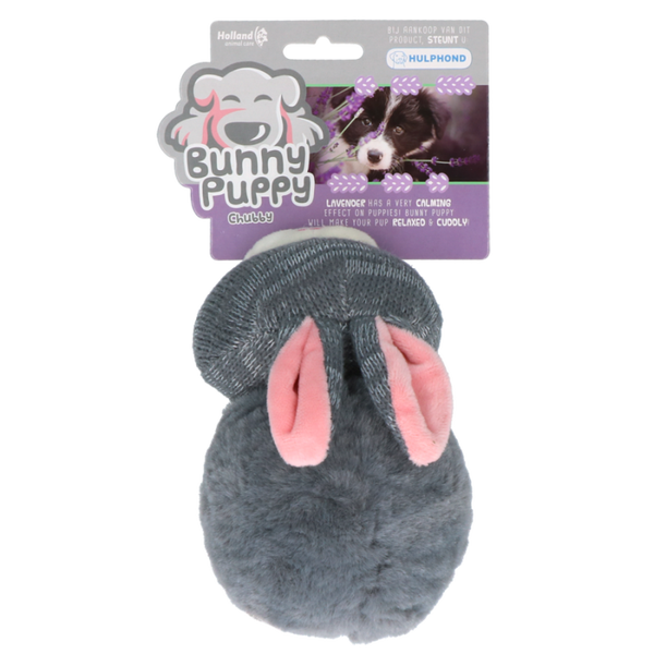 Bunny Puppy Chubby