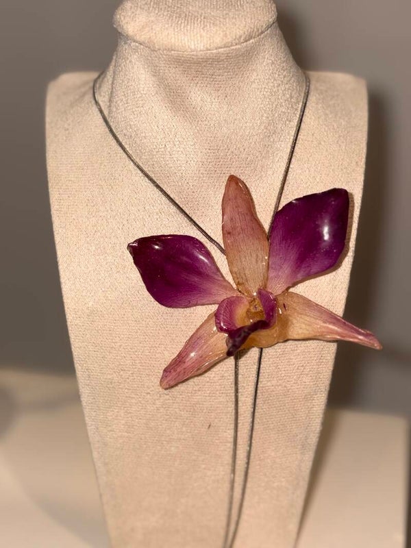 Mariposa