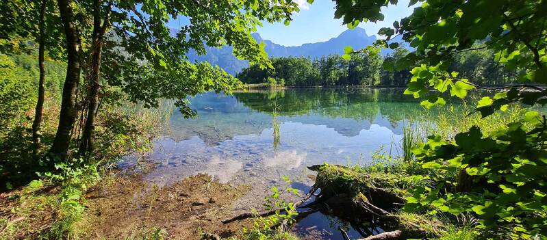 almsee10-standard.jpg