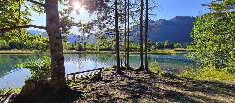 almsee12-standard.jpg