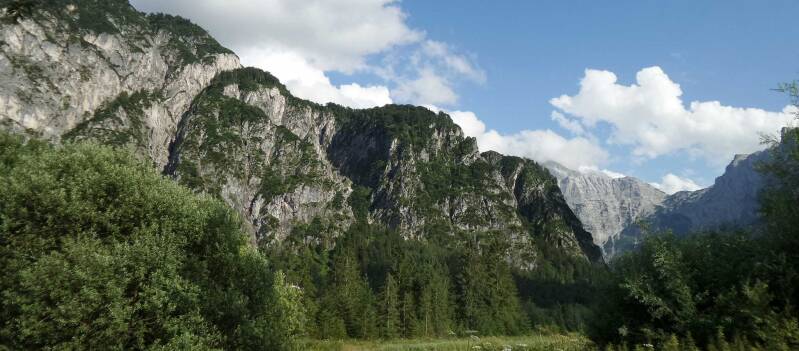 almsee2-standard.jpg