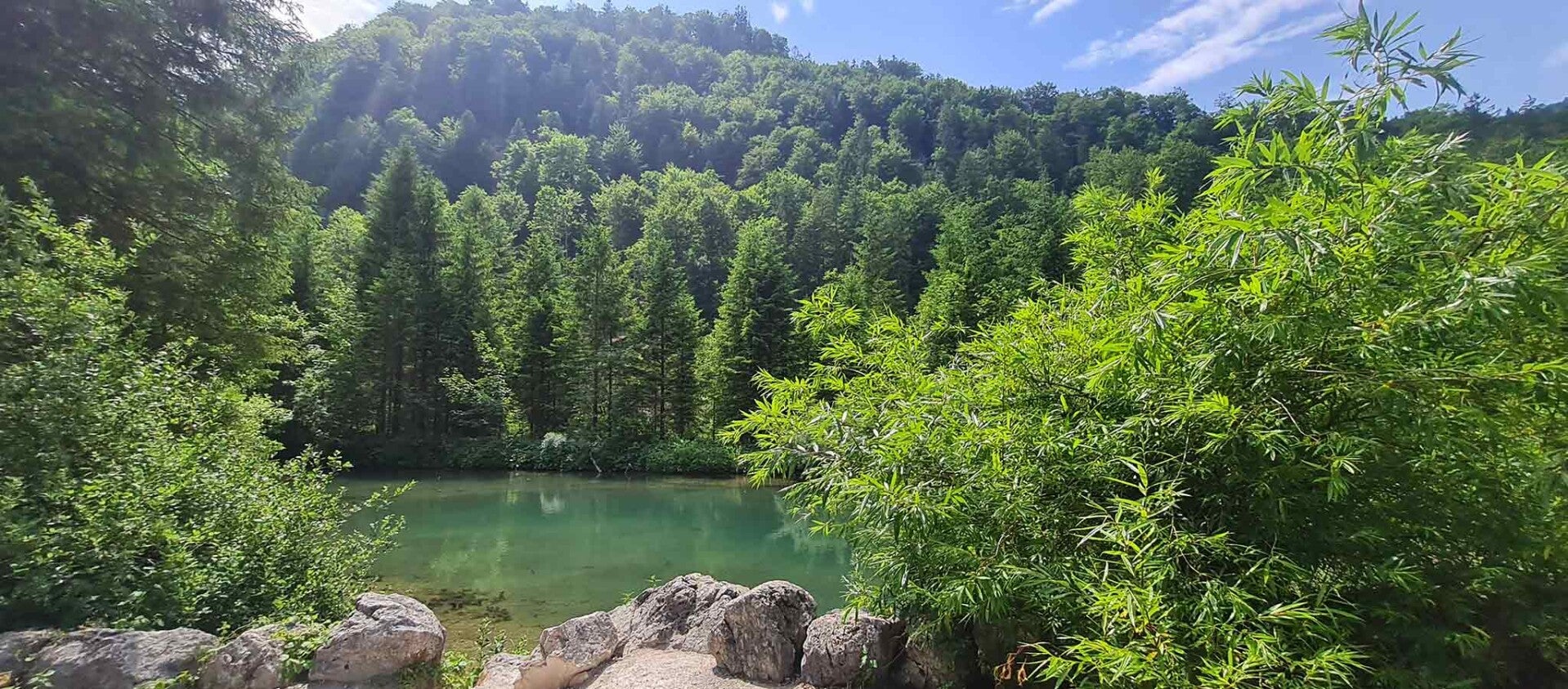 wir flattern auf heimische nachtfalter tagfalter raupen nahrungspflanzen österreich petra urbanek inge biller sabine gasparitz wirflatternauf bugs-team