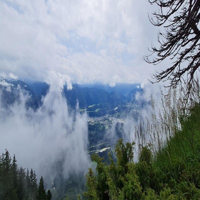 alpengarten12_23-standard.jpg