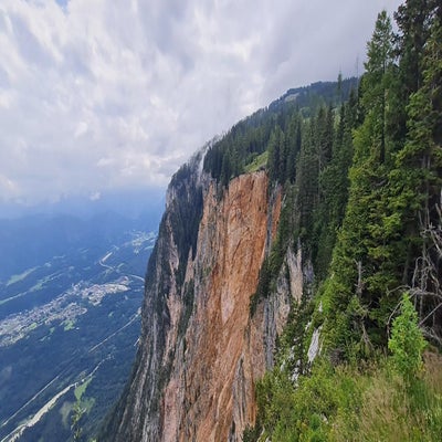 alpengarten13_23-standard.jpg
