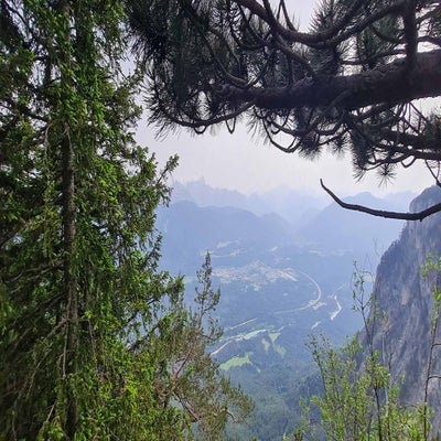 alpengarten15_24-standard.jpg