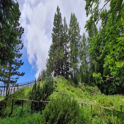 alpengarten6_23-standard.jpg